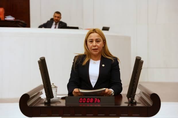 MHP Konya Milletvekili Esin Kara, çiftçinin elektrik borçları için kolaylık istedi