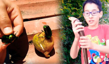 Doğa kaşifi Youtuber “Mehmet KANUR”