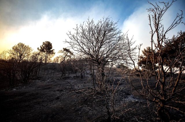 İzmir Büyükşehir Belediyesi, yangından Karşıyaka ilçesi büyüklüğünde bir alanın etkilendiğini açıkladı