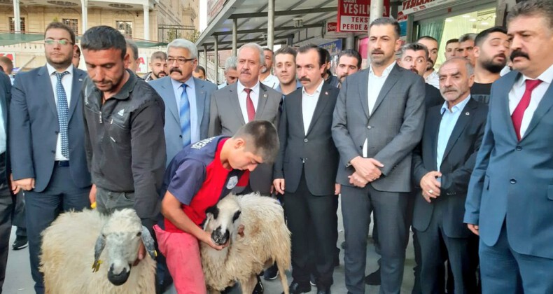 Elazığ MHP, Askerlerimiz İçin Kurban Kesti