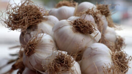 Eylül ayında zam şampiyonu ‘Sarımsak’