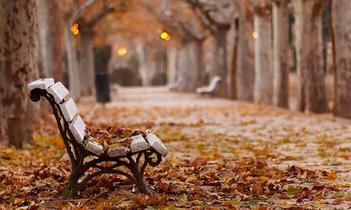 MEVSİMİN ADI, SONBAHAR…