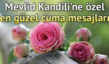 #MevlidKandili’ne özel en güzel #HAYIRLICUMALAR mesajları… 8 Kasım farklı ve yeni cuma mesajı sözleri #HayırlıKandiller