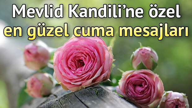 #MevlidKandili’ne özel en güzel #HAYIRLICUMALAR mesajları… 8 Kasım farklı ve yeni cuma mesajı sözleri #HayırlıKandiller
