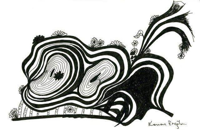 Okumuşlarımızın Çarpık Bakışı