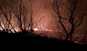 Trabzon’da 10 ilçede 22 orman yangını… Kriz masası oluşturuldu!