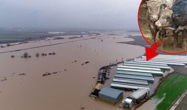 Bursa’nın Karacabey ilçesinde hırsızlar yüzünden tarım arazileri sular altında kaldı