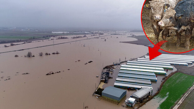 Bursa’nın Karacabey ilçesinde hırsızlar yüzünden tarım arazileri sular altında kaldı