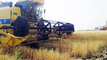 KORONA TARIMI TEHDİT EDİYOR