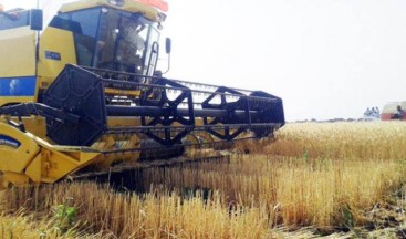 KORONA TARIMI TEHDİT EDİYOR