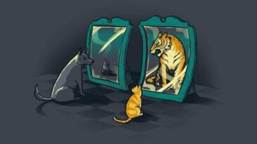 O KADAR KİBİRLENME, OLMASAN DA OLUR