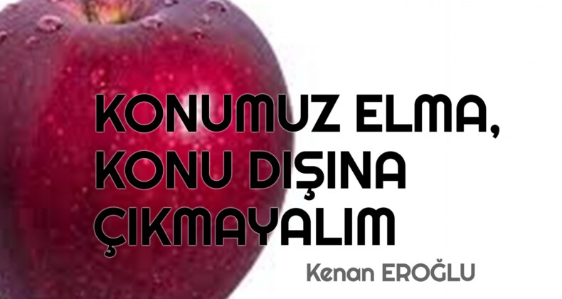 KONUMUZ ELMA, KONU DIŞINA ÇIKMAYALIM