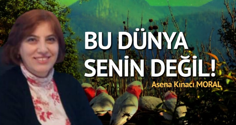 BU DÜNYA SENİN DEĞİL!