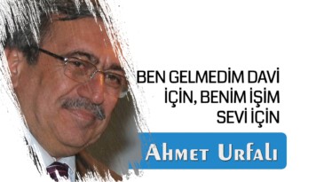 BEN GELMEDİM DAVİ İÇİN, BENİM İŞİM SEVİ İÇİN