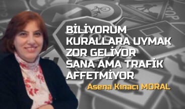 BİLİYORUM KURALLARA UYMAK ZOR GELİYOR SANA AMA TRAFİK AFFETMİYOR