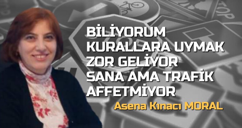 BİLİYORUM KURALLARA UYMAK ZOR GELİYOR SANA AMA TRAFİK AFFETMİYOR