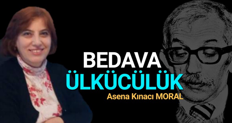 BEDAVA ÜLKÜCÜLÜK