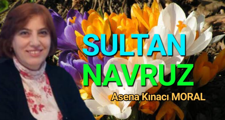 SULTAN NAVRUZ