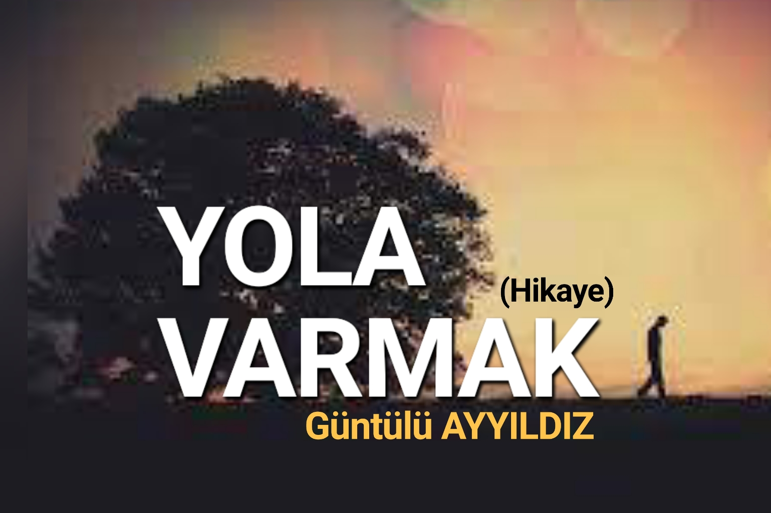 YOLA VARMAK