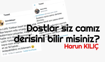 Dostlar siz camız derisini bilir misiniz?
