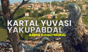 KARTAL YUVASI YAKUPABDAL