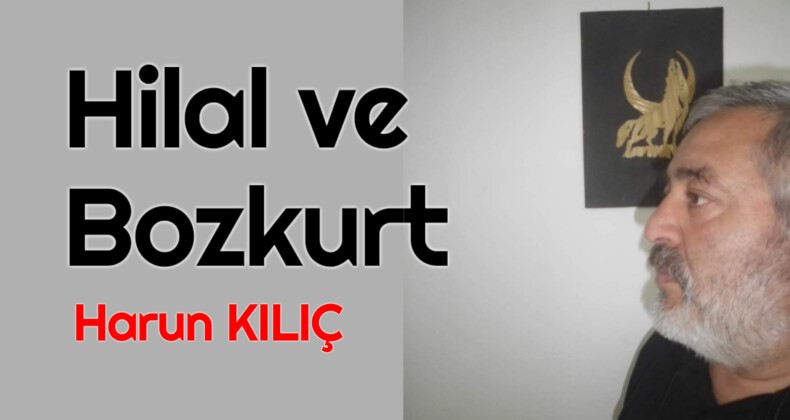 Hilal ve Bozkurt