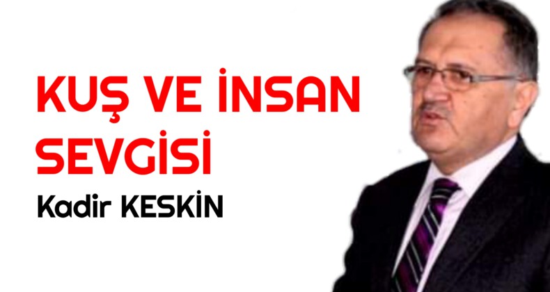 KUŞ VE İNSAN SEVGİSİ