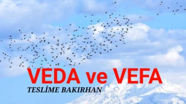 VEDA ve VEFA