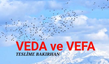 VEDA ve VEFA