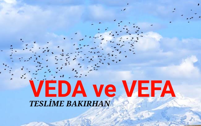 VEDA ve VEFA