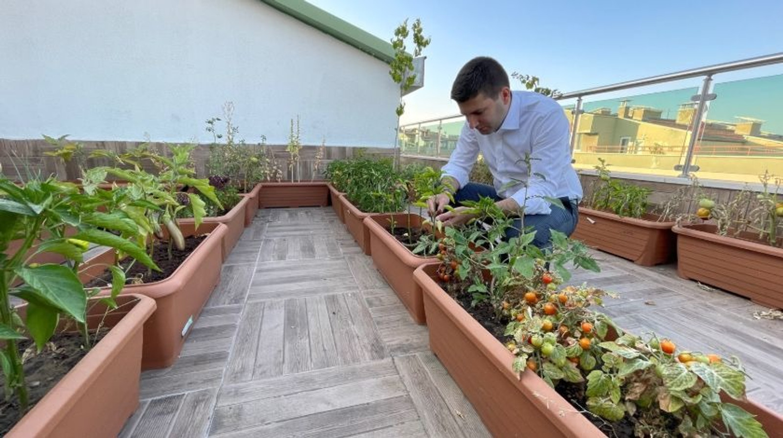 Ülkü Ocakları’ndan Permakültür projesi