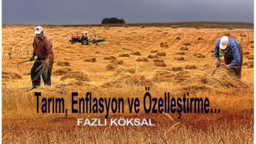 Tarım, Enflasyon ve Özelleştirme…