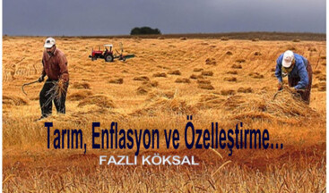 Tarım, Enflasyon ve Özelleştirme…