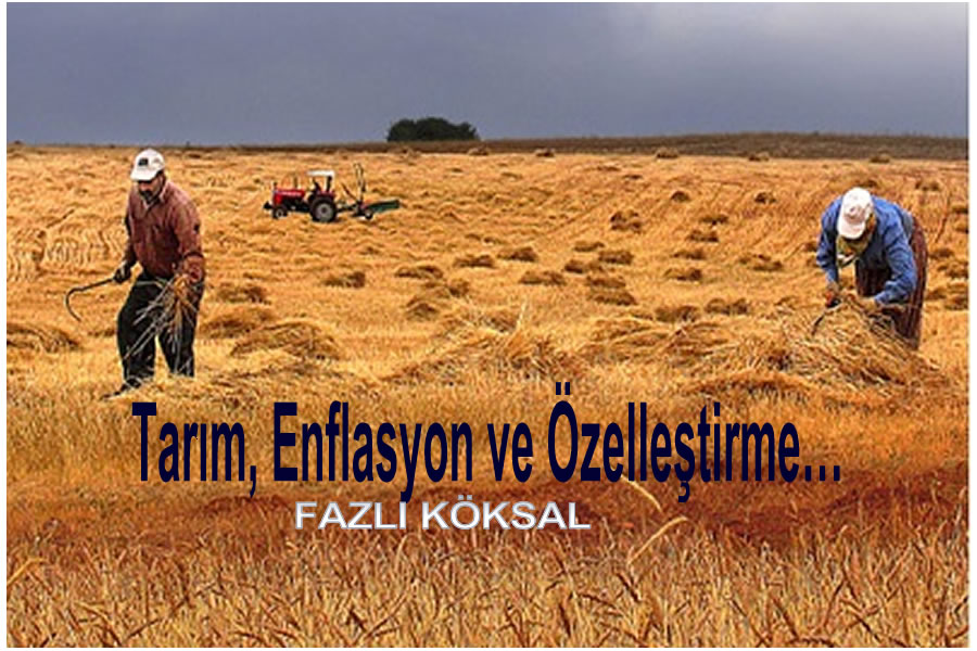 Tarım, Enflasyon ve Özelleştirme…