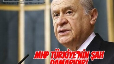Devlet Bahçeli: MHP Lideri Bahçeli: Kürdistan fitnesine bedenlerimizle direnir, Bozkurt gibi karşı dururuz