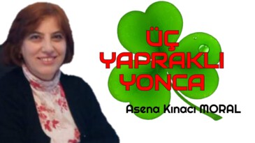 ÜÇ YAPRAKLI YONCA