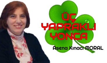 ÜÇ YAPRAKLI YONCA