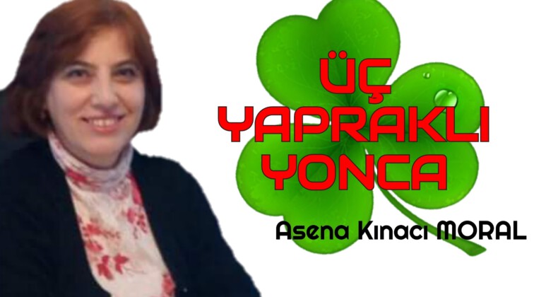 ÜÇ YAPRAKLI YONCA