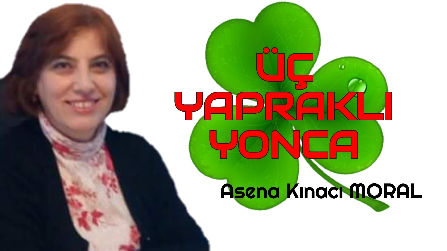 ÜÇ YAPRAKLI YONCA