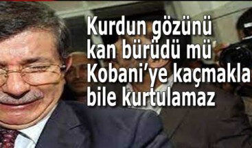 Serok dikkat etsin, kurdun gözünü kan bürüdü mü Kobani’ye kaçmakla bile kurtulamaz.