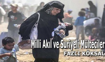 Milli Akıl ve Suriyeli Mülteciler