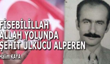 FİSEBİLİLLAH ALLAH YOLUNDA ŞEHİT ÜLKÜCÜ ALPEREN