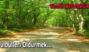Bülbülleri Öldürmek…