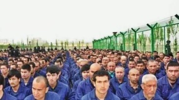 BM Komiseri’ne Çağrı: HAKSIZLIKLAR KARŞISINDA SESSİZ KALMA