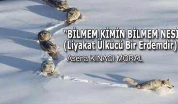 “BİLMEM KİMİN BİLMEM NESİ”<br>(Liyakat Ülkücü Bir Erdemdir)