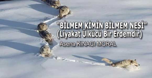 “BİLMEM KİMİN BİLMEM NESİ”<br>(Liyakat Ülkücü Bir Erdemdir)