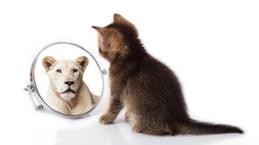 İtham Etmek Yerine Kendinize Bakın 