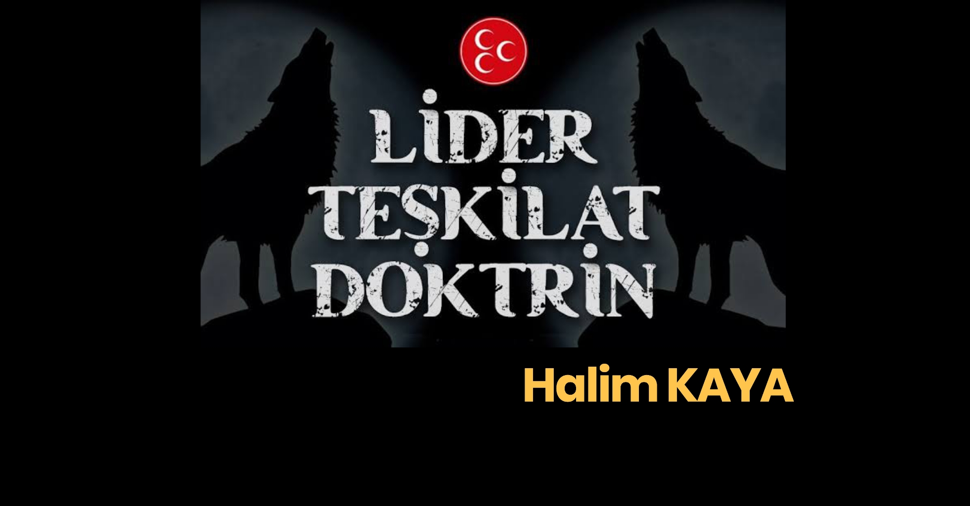 LİDER TEŞKİLAT DOKTRİN