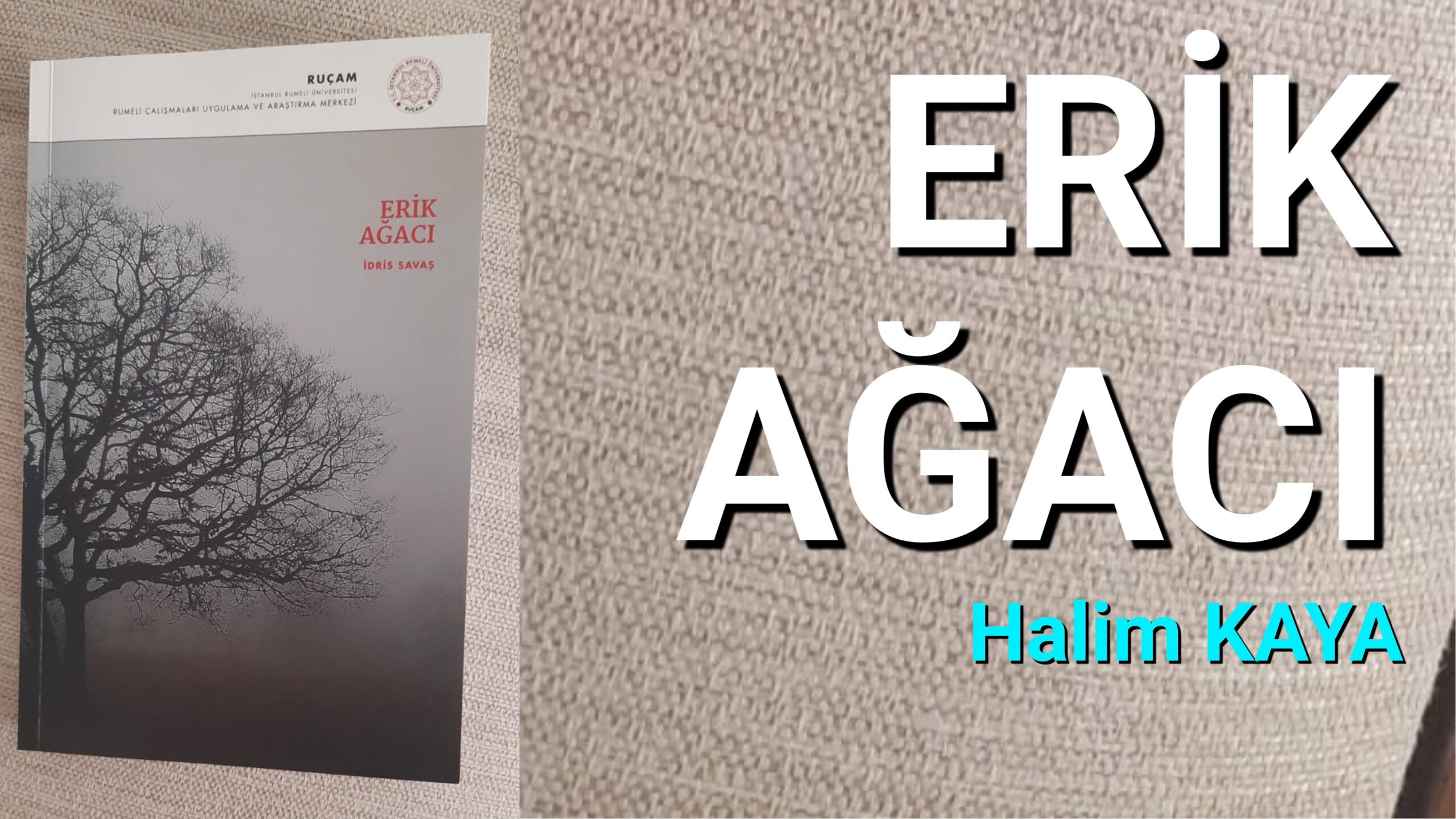 ERİK AĞACI
