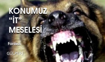 KONUMUZ “İT” MESELESİ